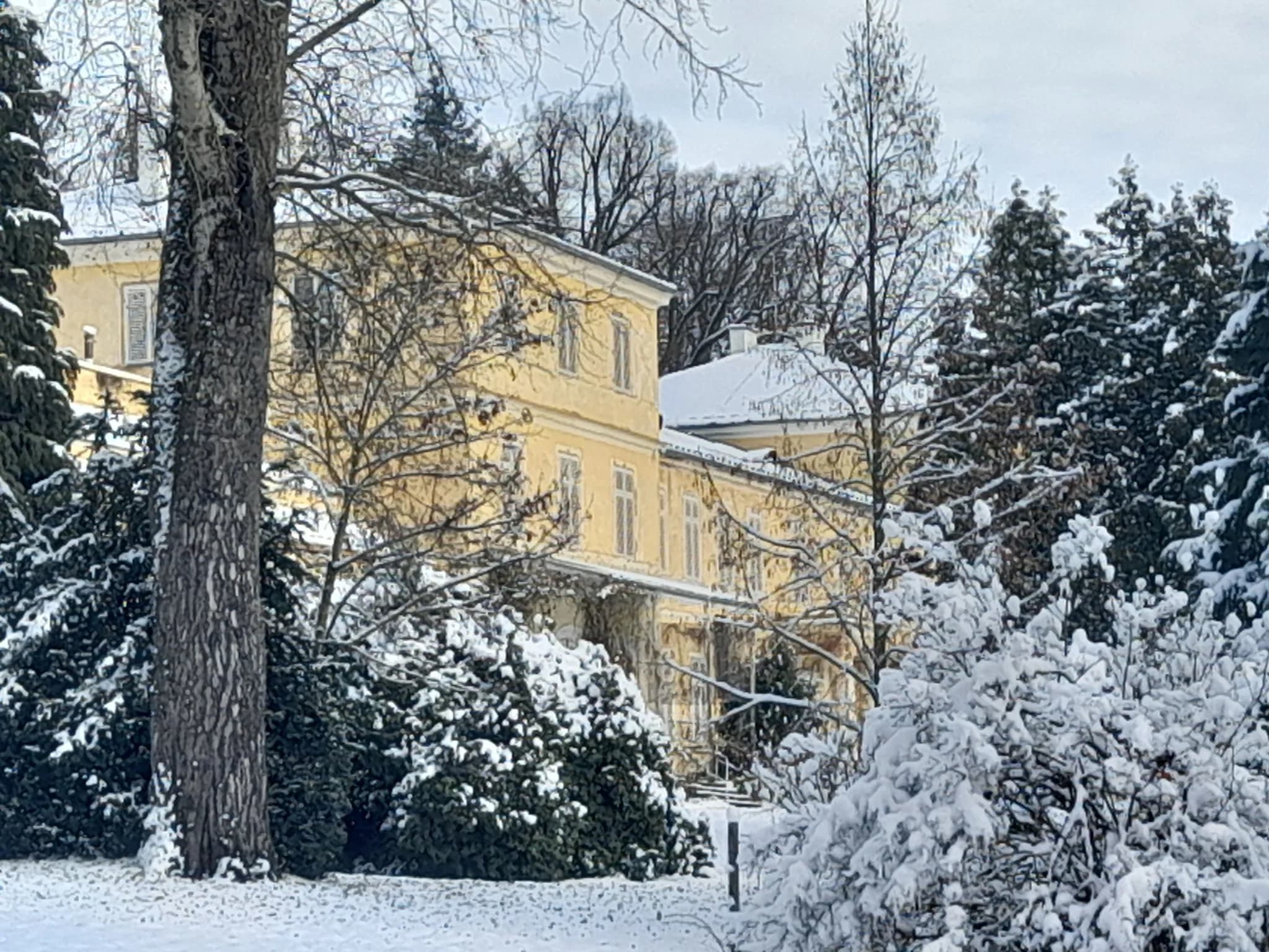 Zimní pohled na zámek a zahradu