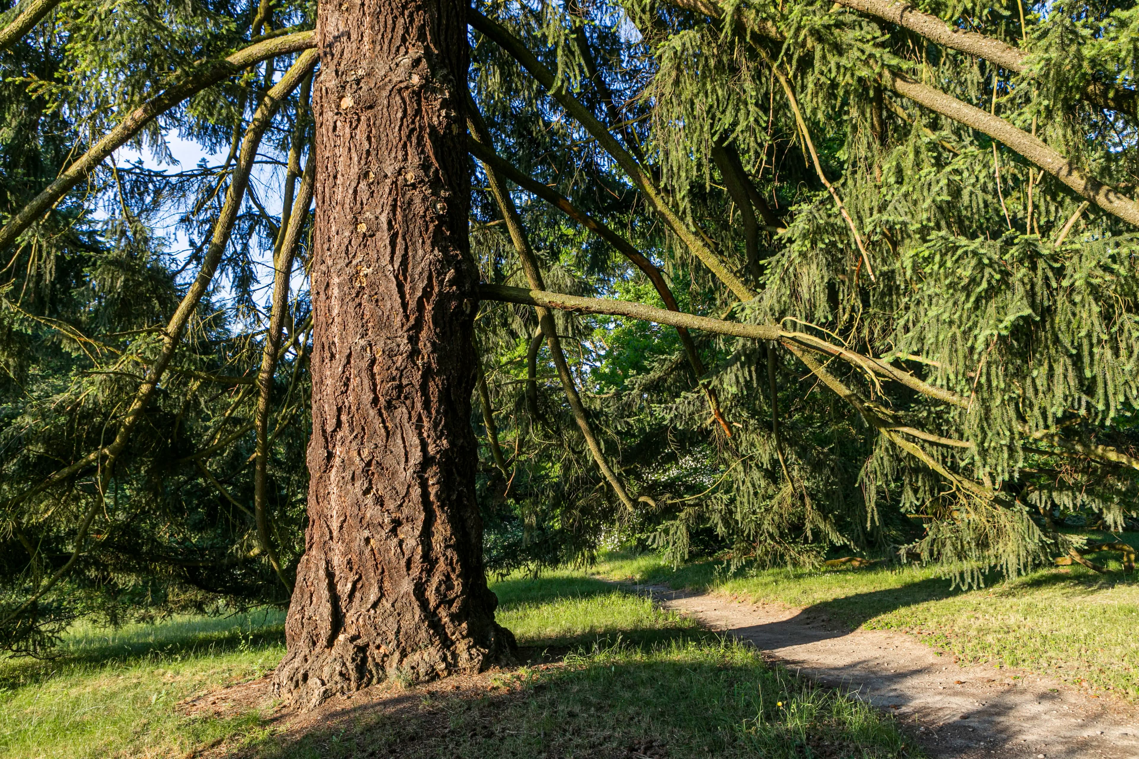 Fotografie Zámku Lázeň 4