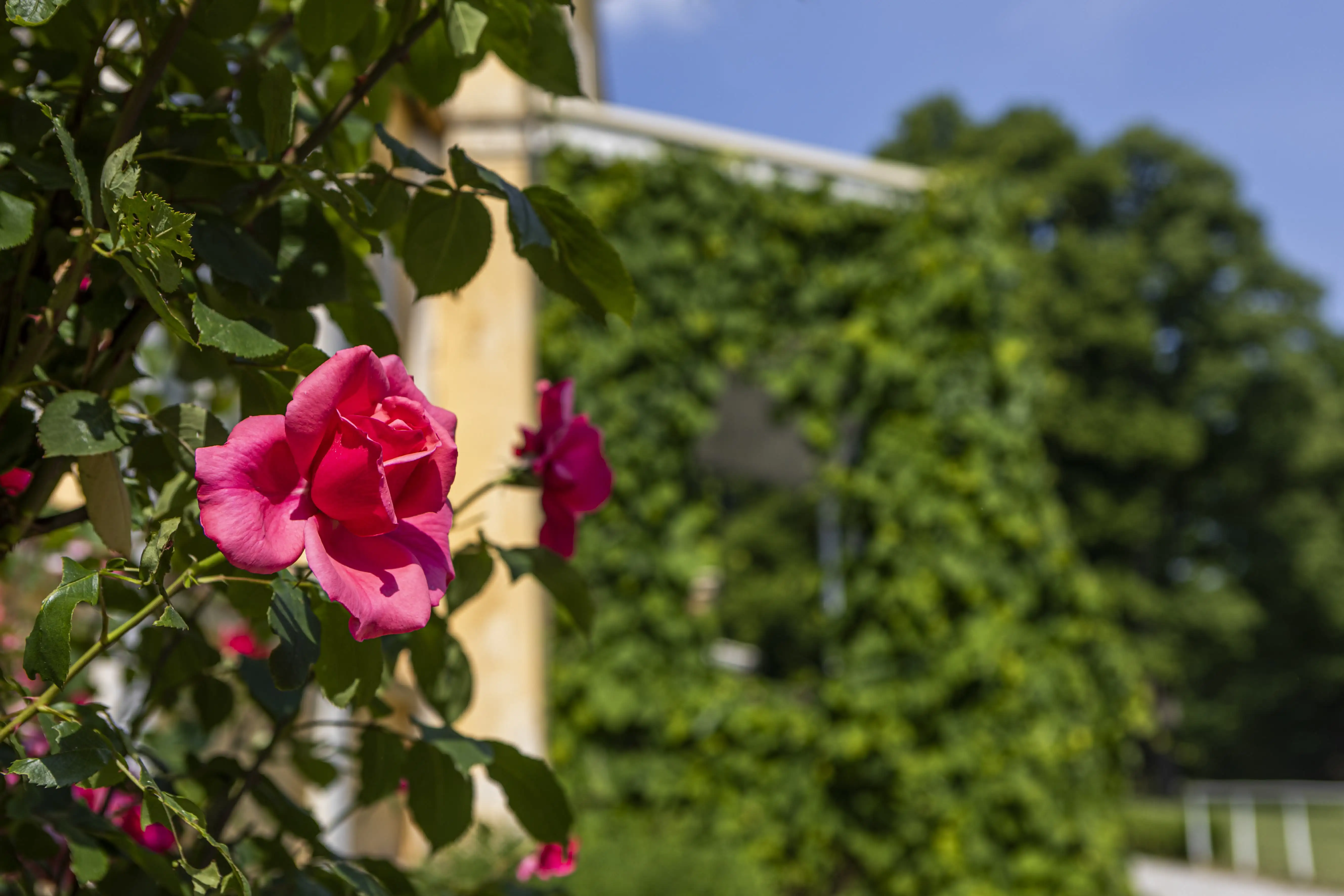 Fotografie Zámku Lázeň 9